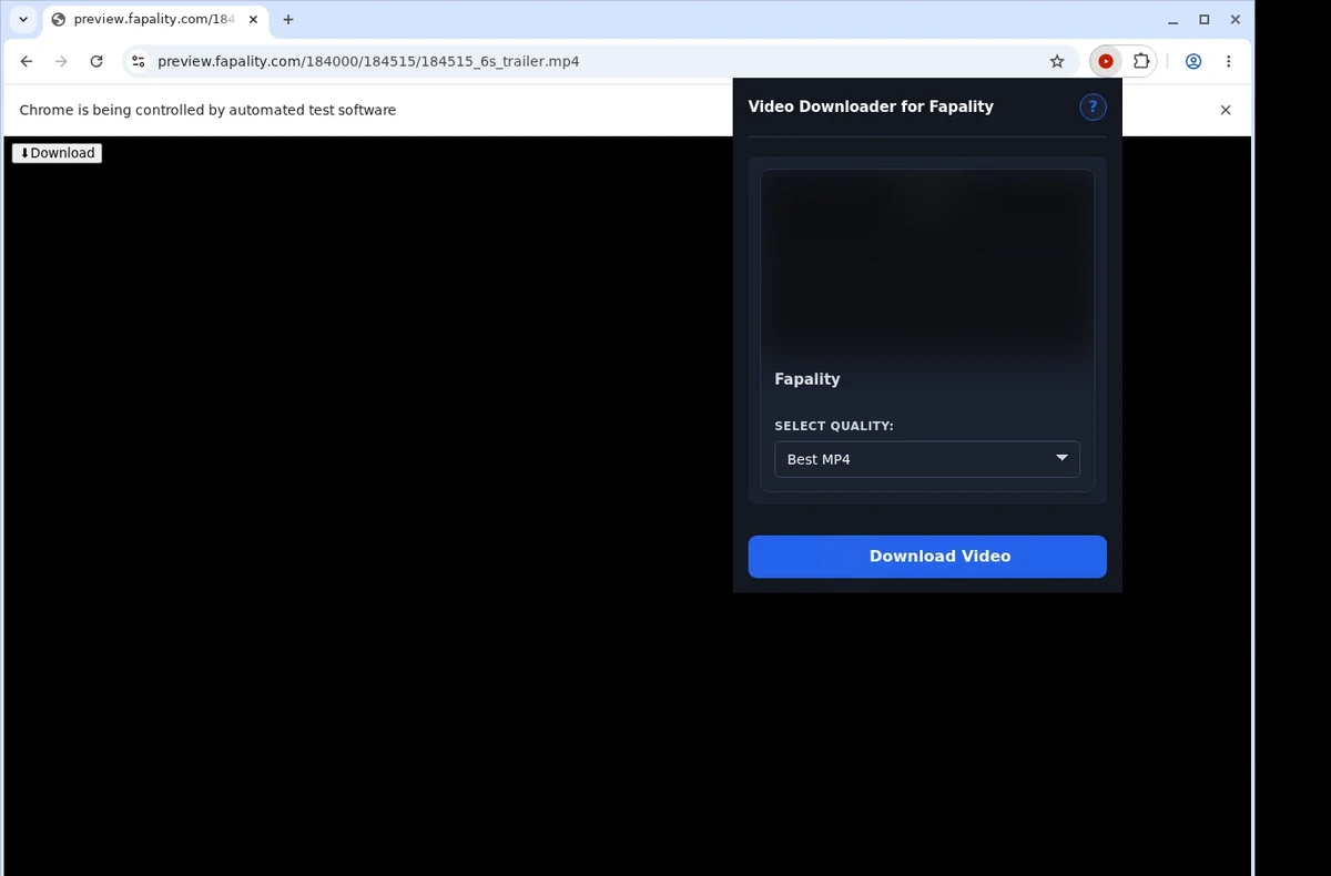 Fapality Video Downloader ready state screenshot