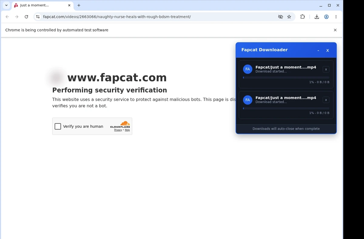 Fapcat Downloader ready state screenshot