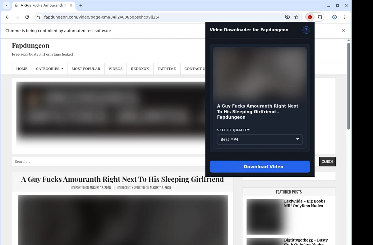 FapDungeon Video Downloader ready state screenshot