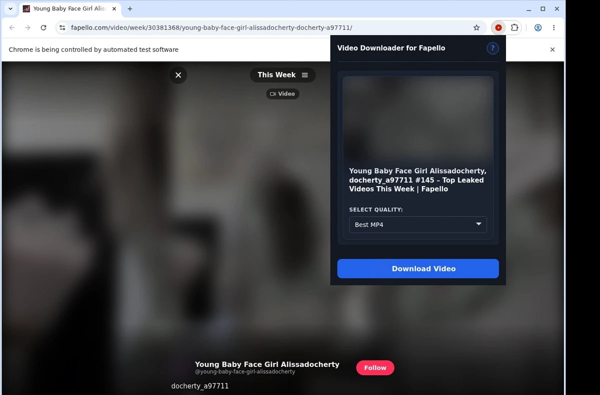 Fapello Downloader ready state screenshot