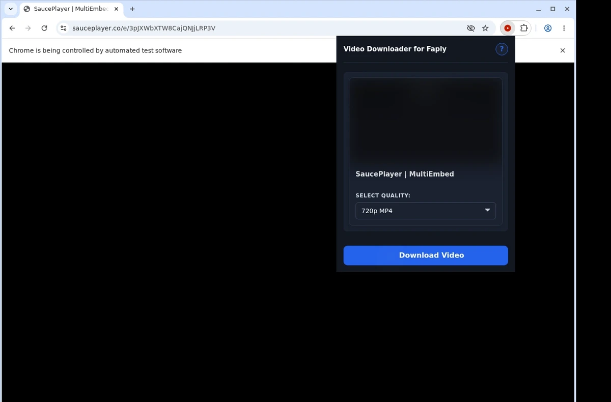Faply Video Downloader ready state screenshot