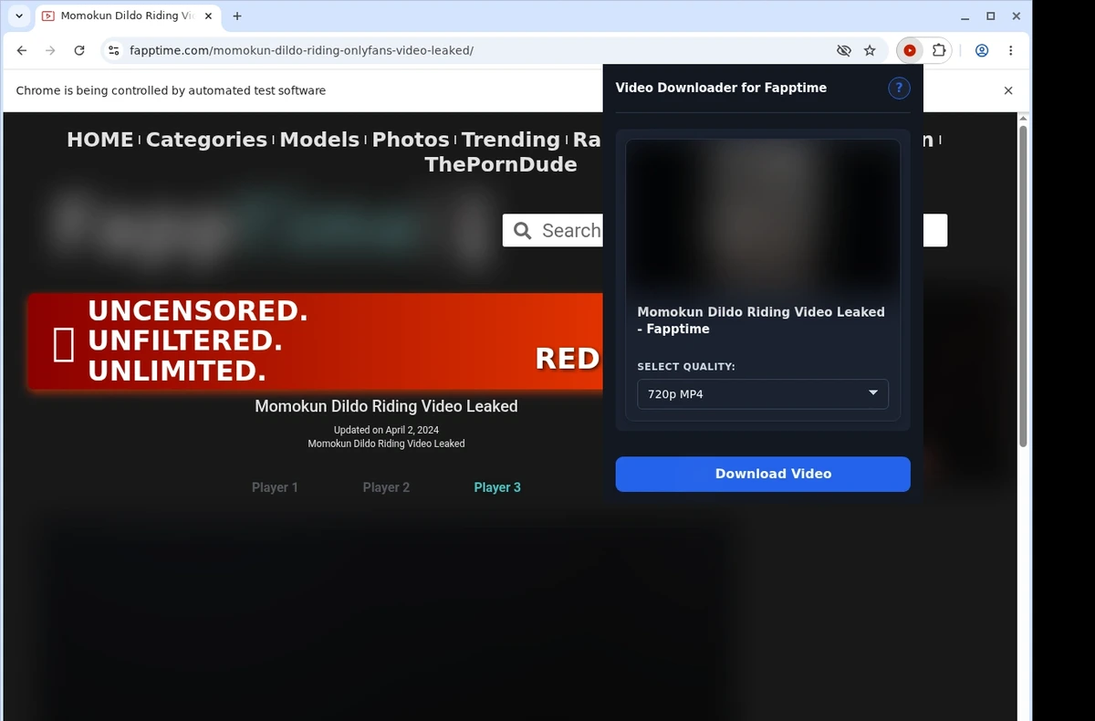 FappTime Video Downloader ready state screenshot