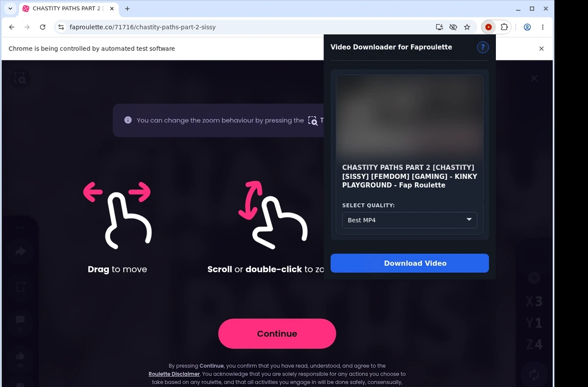 FapRoulette Video Downloader ready state screenshot