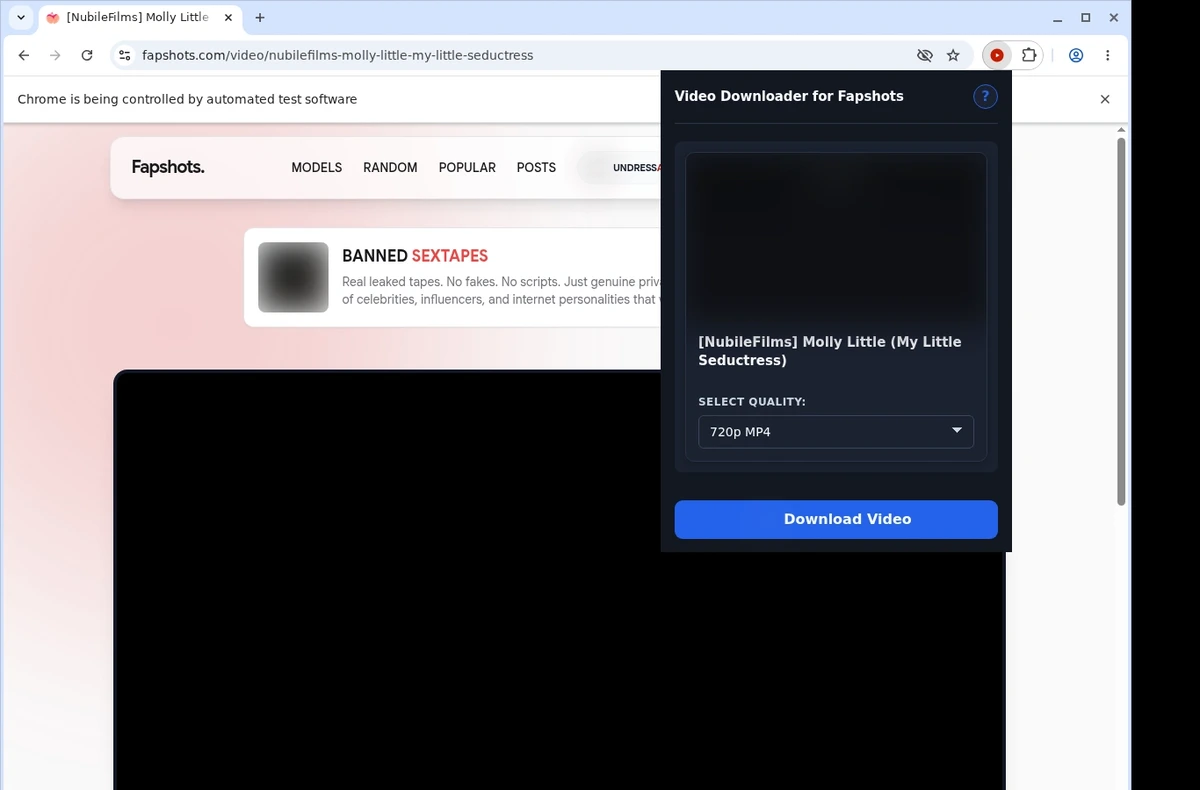 Fapshots Video Downloader ready state screenshot