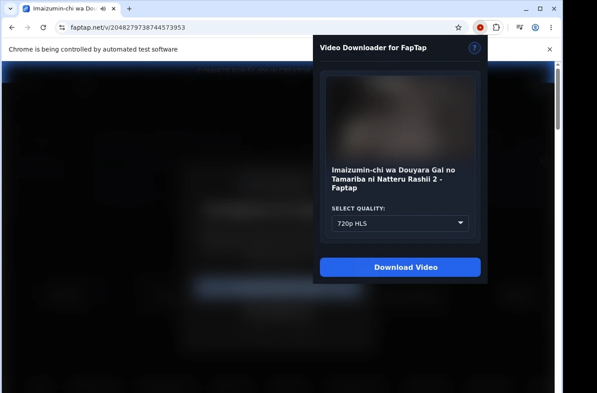FapTap Video Downloader ready state screenshot