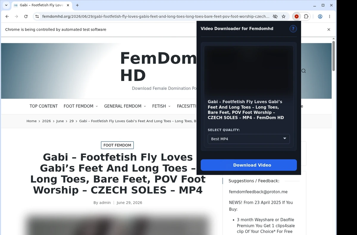 FemdomHD Downloader ready state screenshot