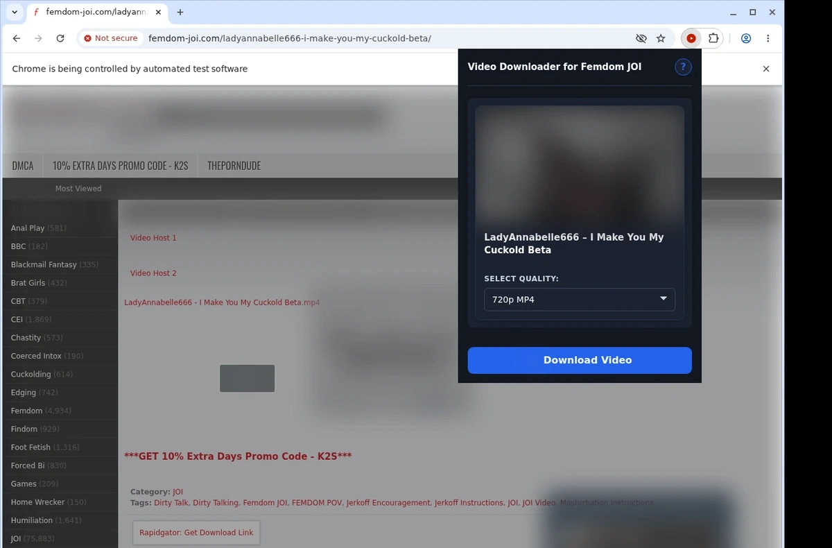 Femdom JOI Video Downloader ready state screenshot