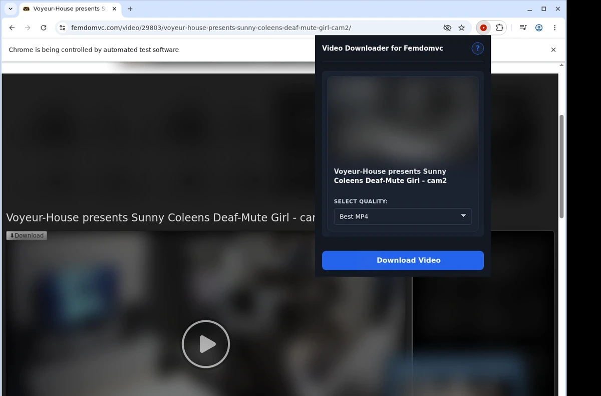 FemdomVC Video Downloader ready state screenshot