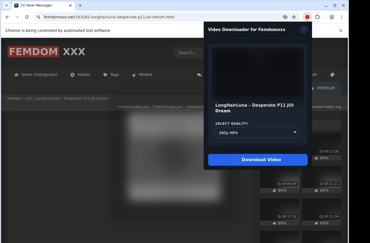 FemdomXXX Video Downloader ready state screenshot