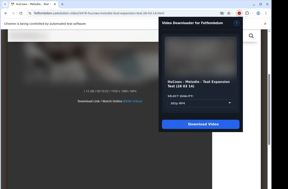 Fetfembdsm Downloader ready state screenshot