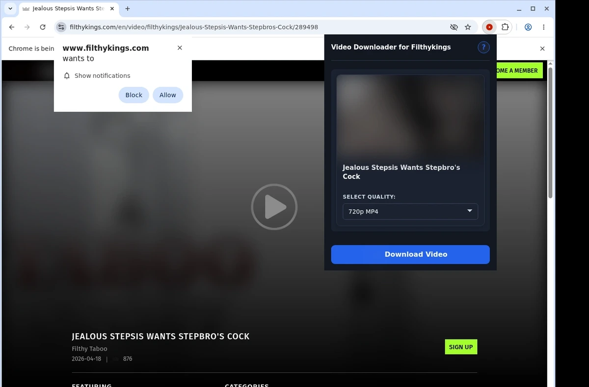 FilthyKings Video Downloader ready state screenshot