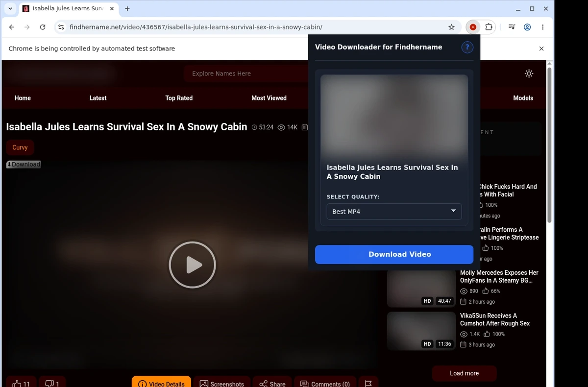 FindHerName Video Downloader ready state screenshot