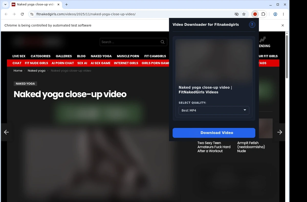 FitNakedGirls Video Downloader ready state screenshot