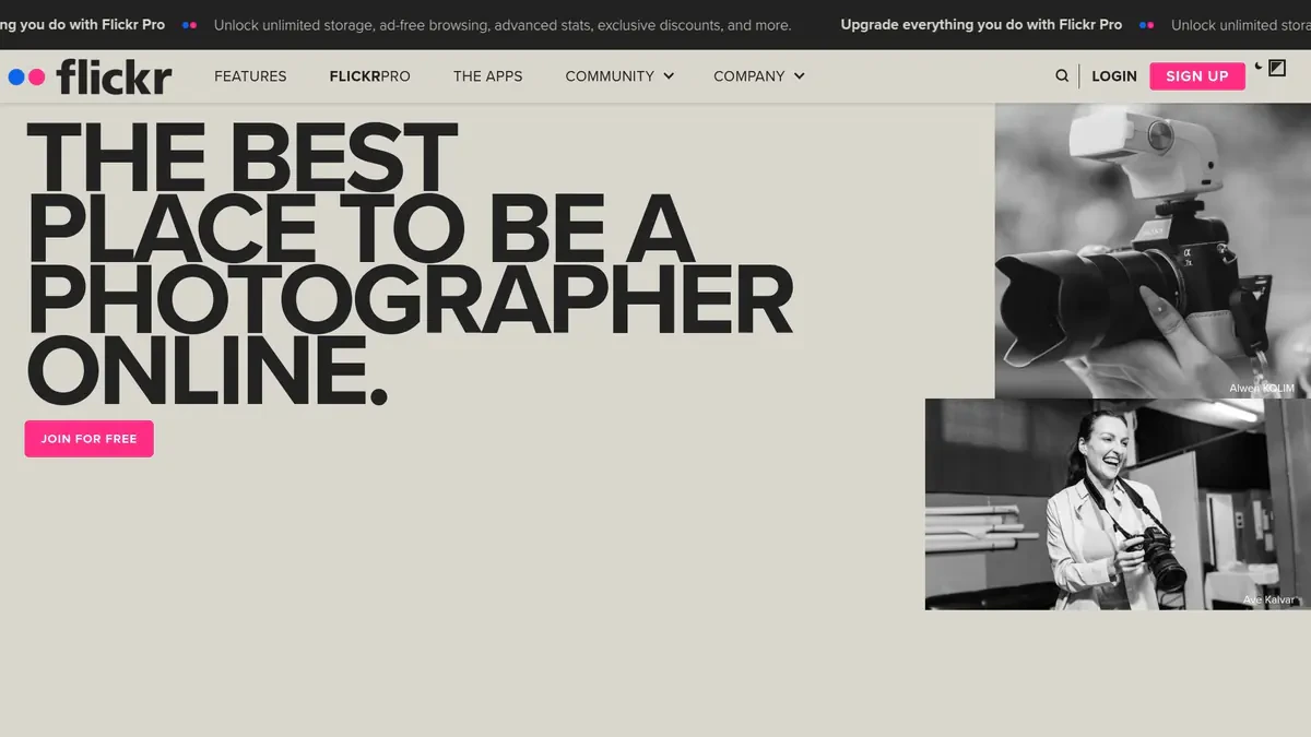 Flickr Downloader website preview