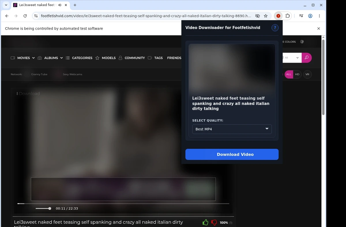 Foot Fetish Vid Downloader ready state screenshot