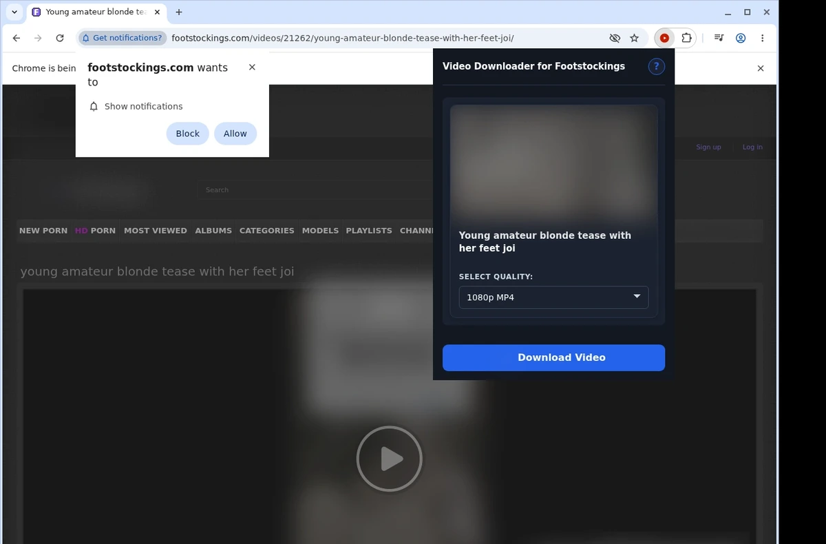 Footstockings Video Downloader ready state screenshot
