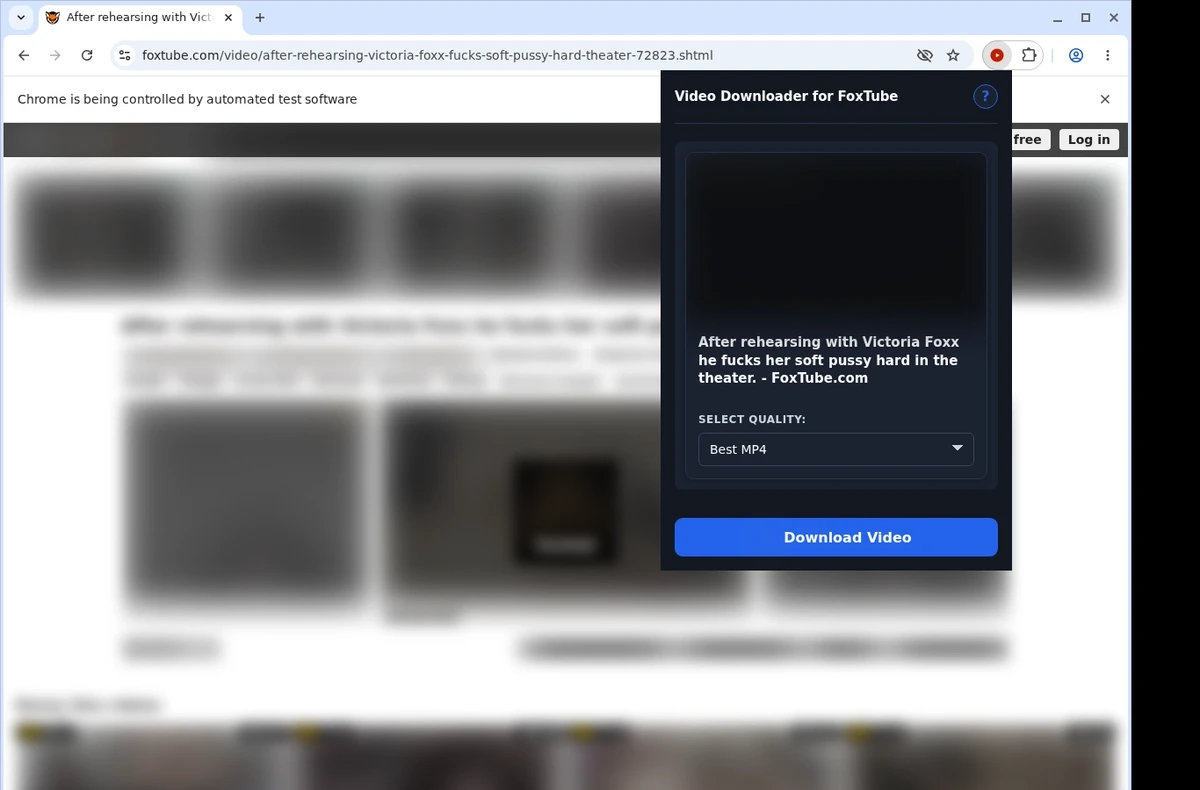 FoxTube Downloader ready state screenshot