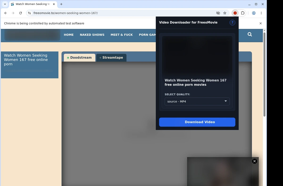 FreeoMovie Video Downloader ready state screenshot