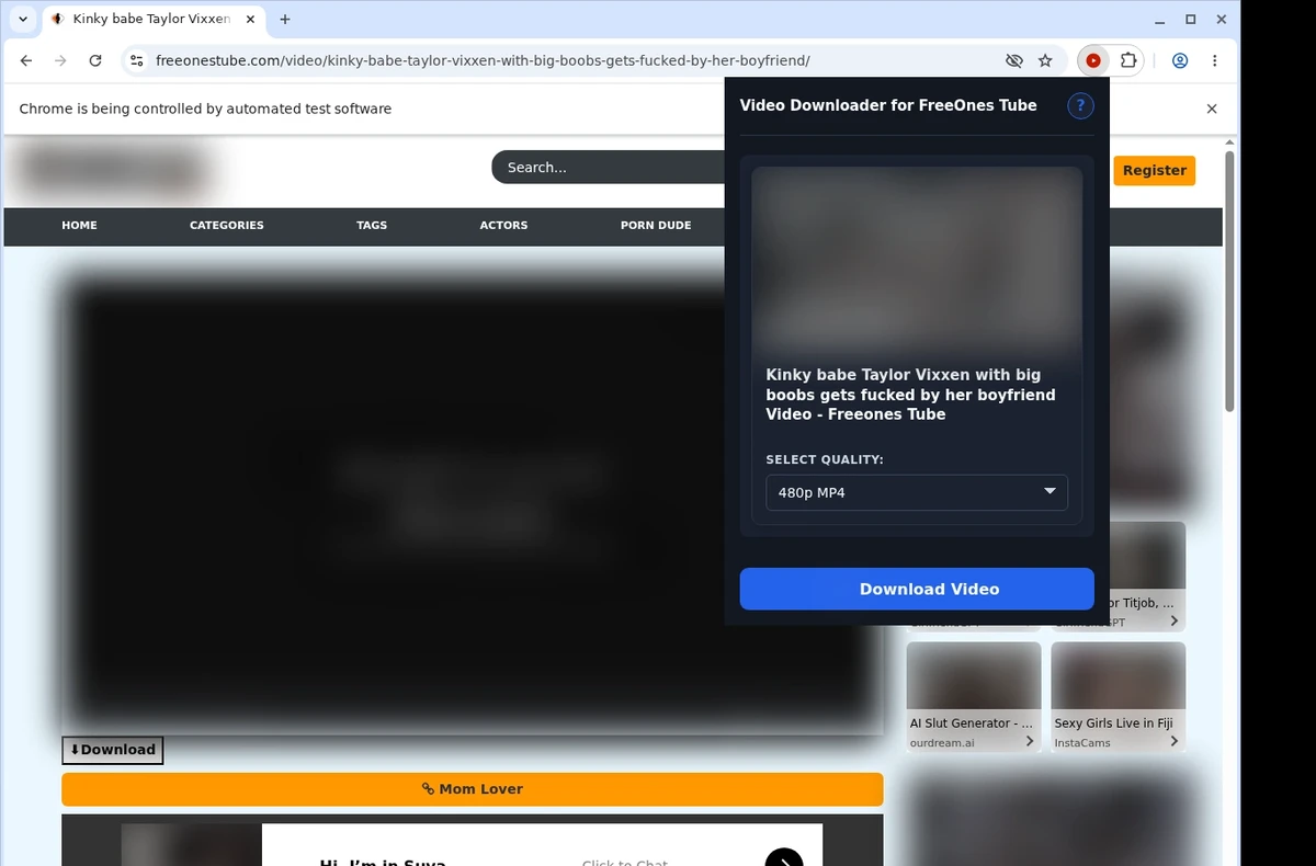 FreeOnes Tube Video Downloader ready state screenshot