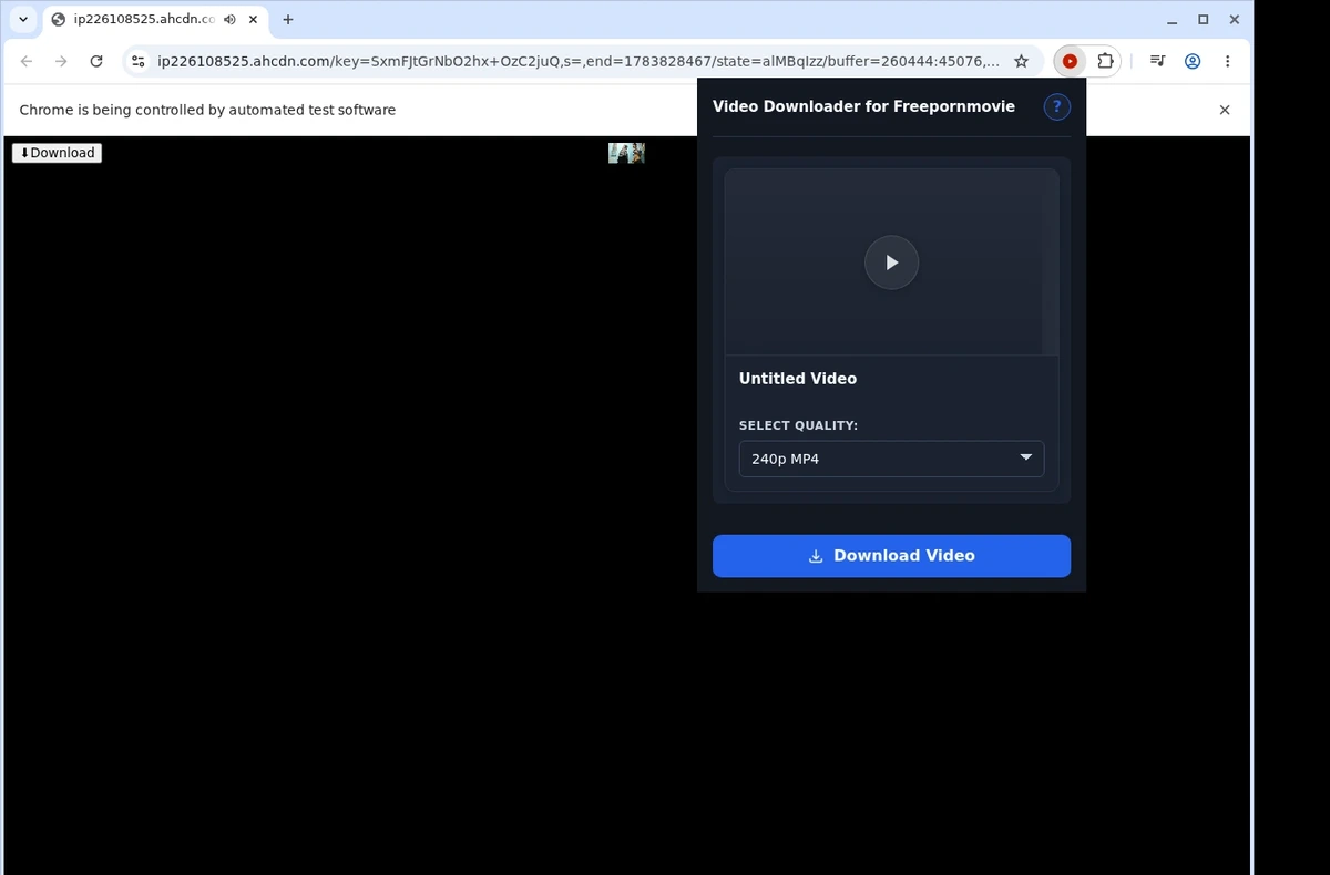 Freepornmovie Video Downloader ready state screenshot