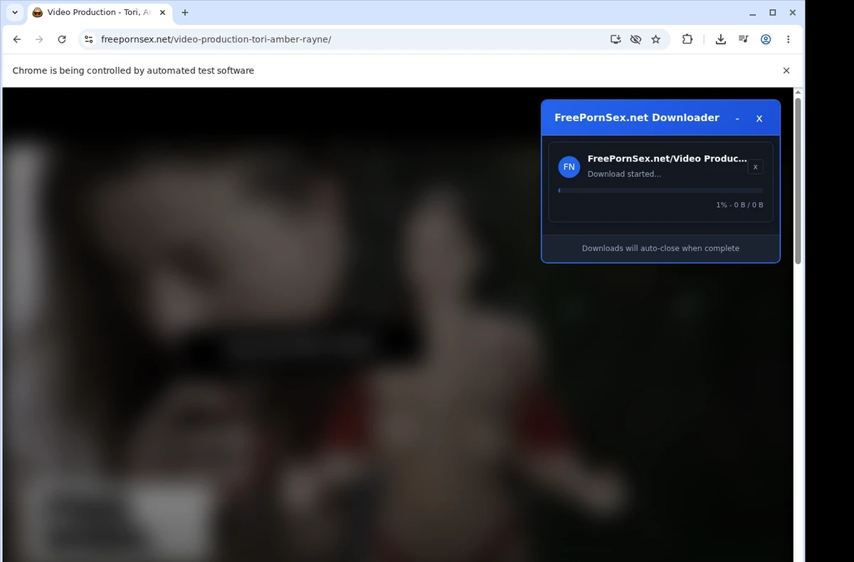 FreePornSex.net Video Downloader ready state screenshot