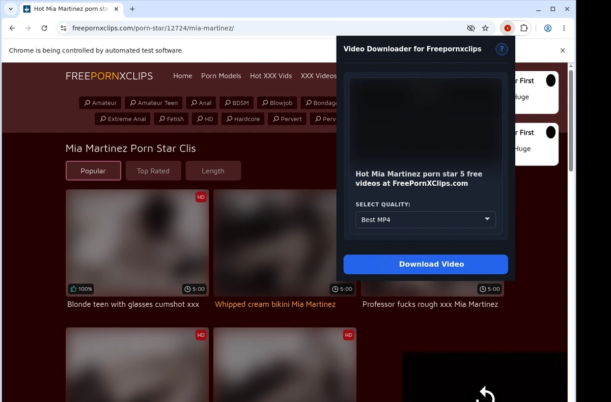 FreePornXClips Downloader ready state screenshot