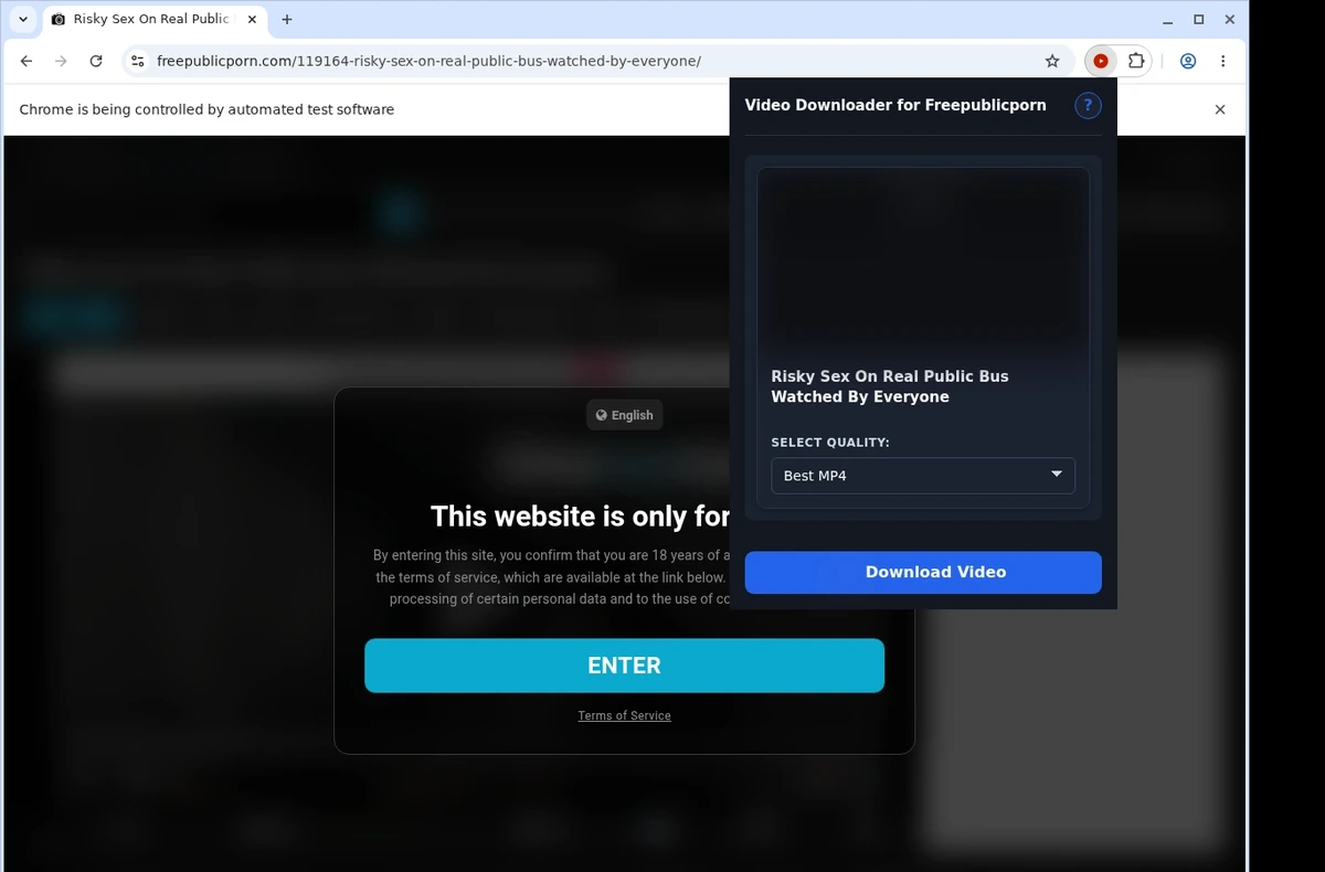 FreePublicPorn Video Downloader ready state screenshot