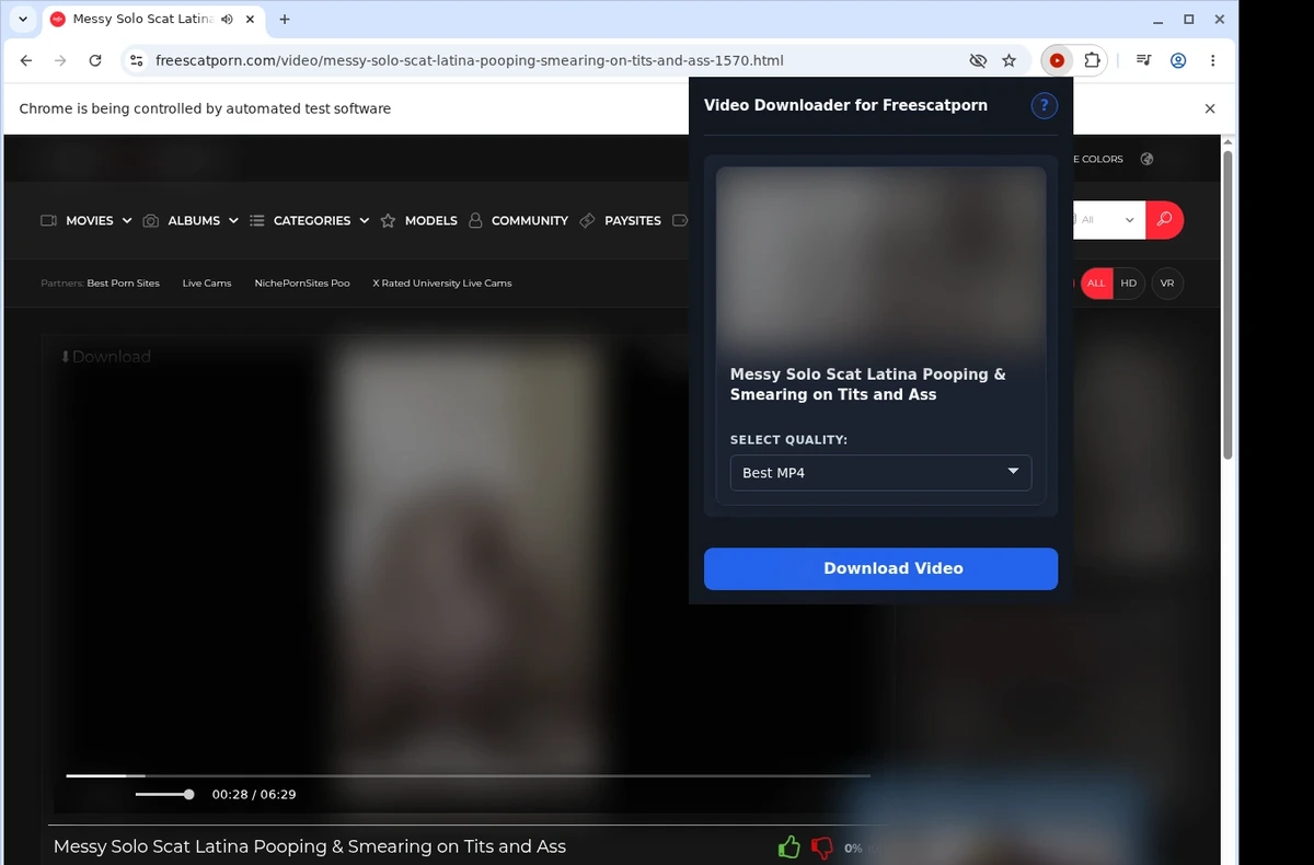 FreeScatPorn Video Downloader ready state screenshot