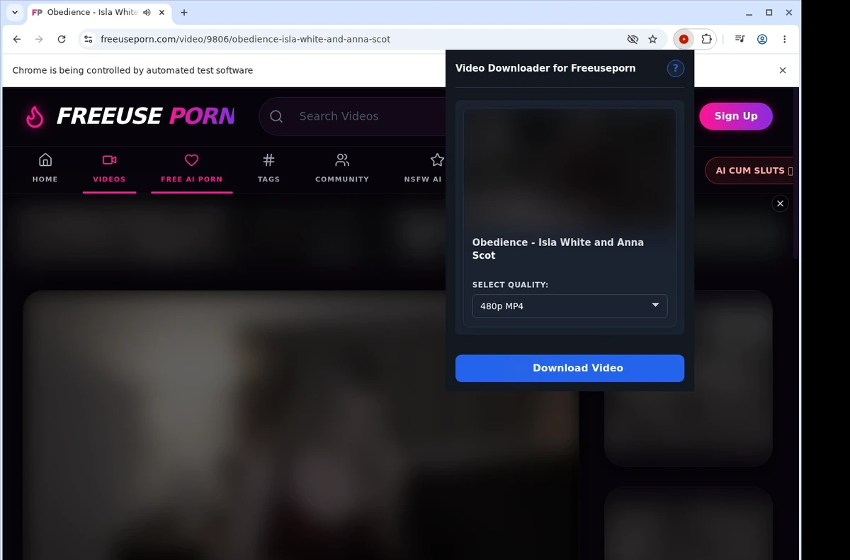 FreeusePorn Video Downloader ready state screenshot