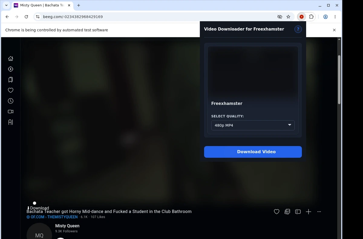Freexhamster Downloader ready state screenshot