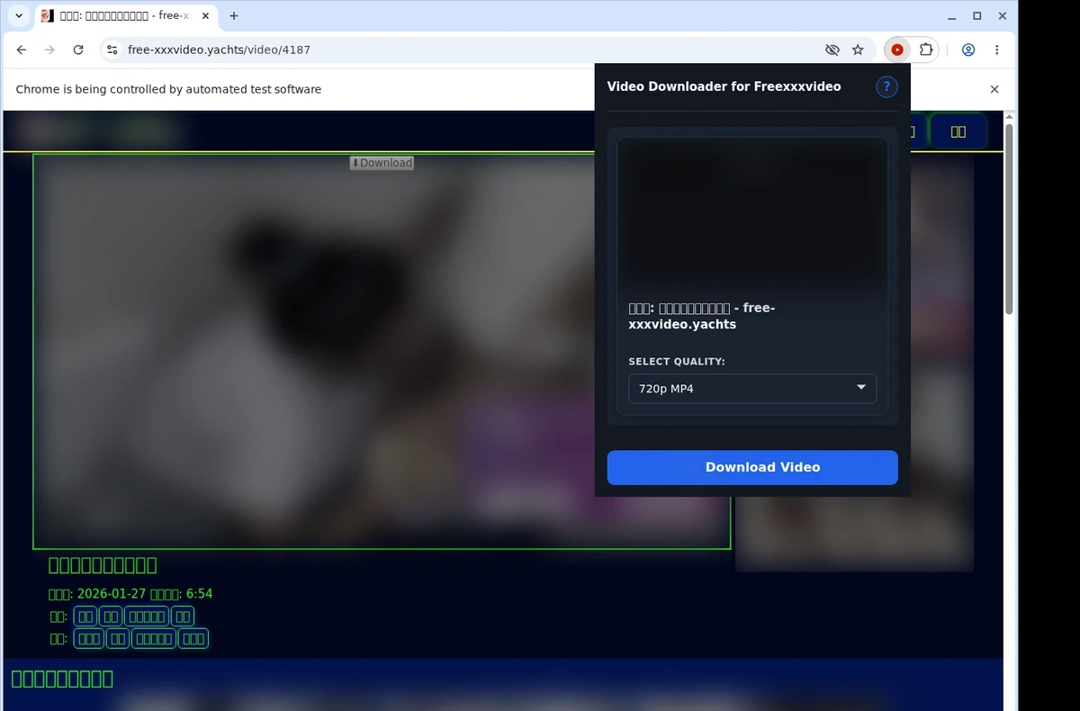 Freexxxvideo Downloader ready state screenshot