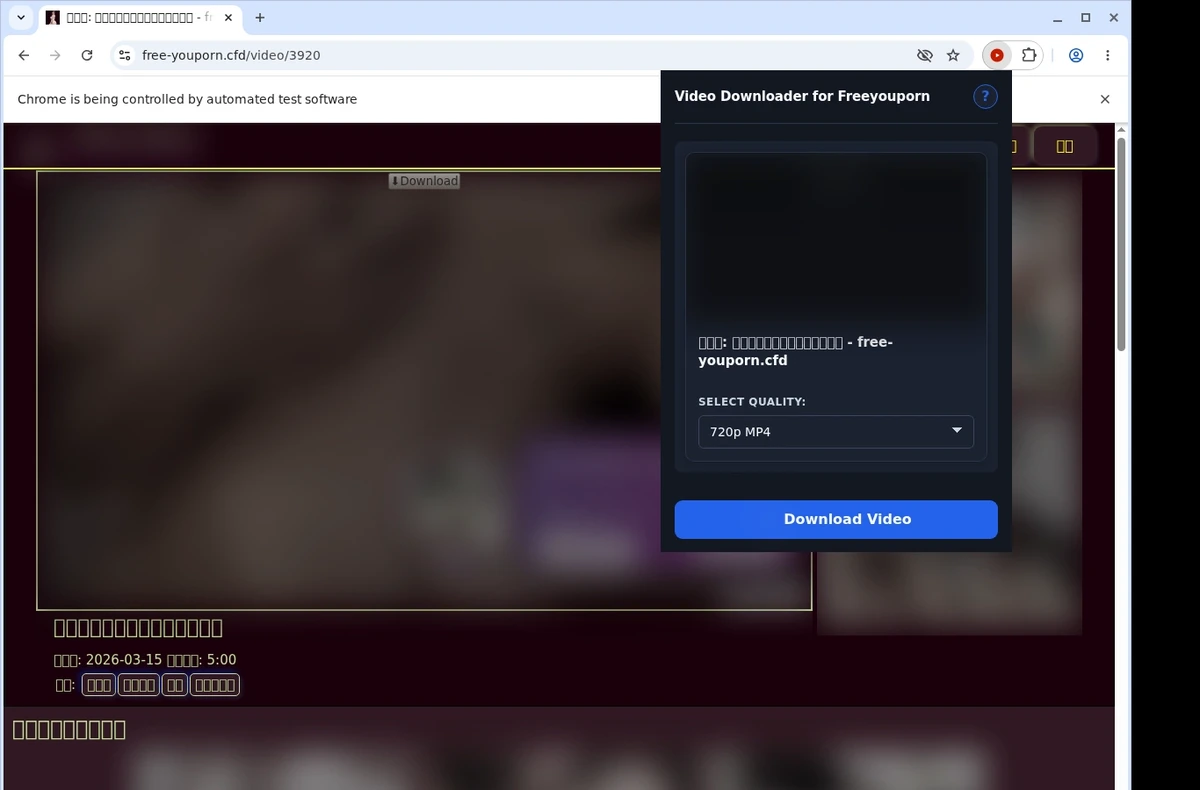 Freeyouporn Downloader ready state screenshot