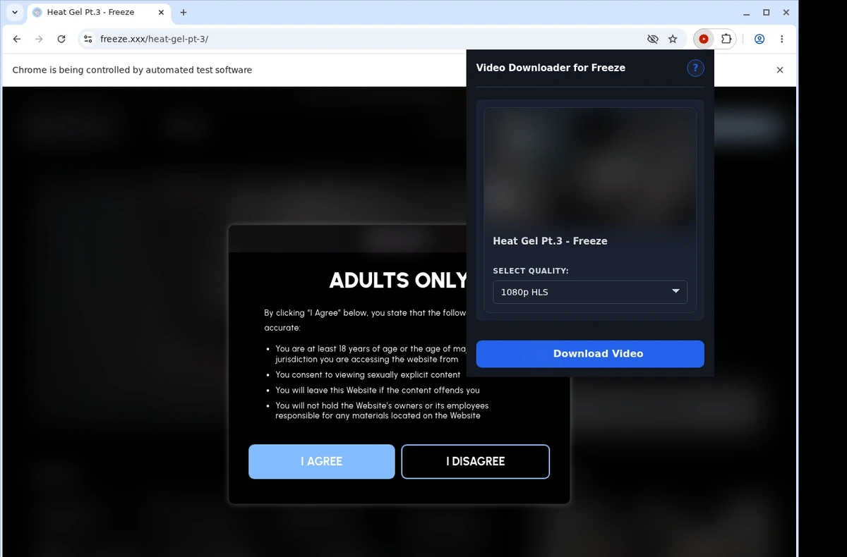 Freeze Video Downloader ready state screenshot