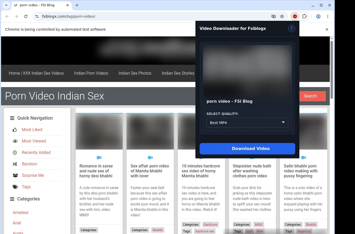 Fsiblogx Downloader ready state screenshot