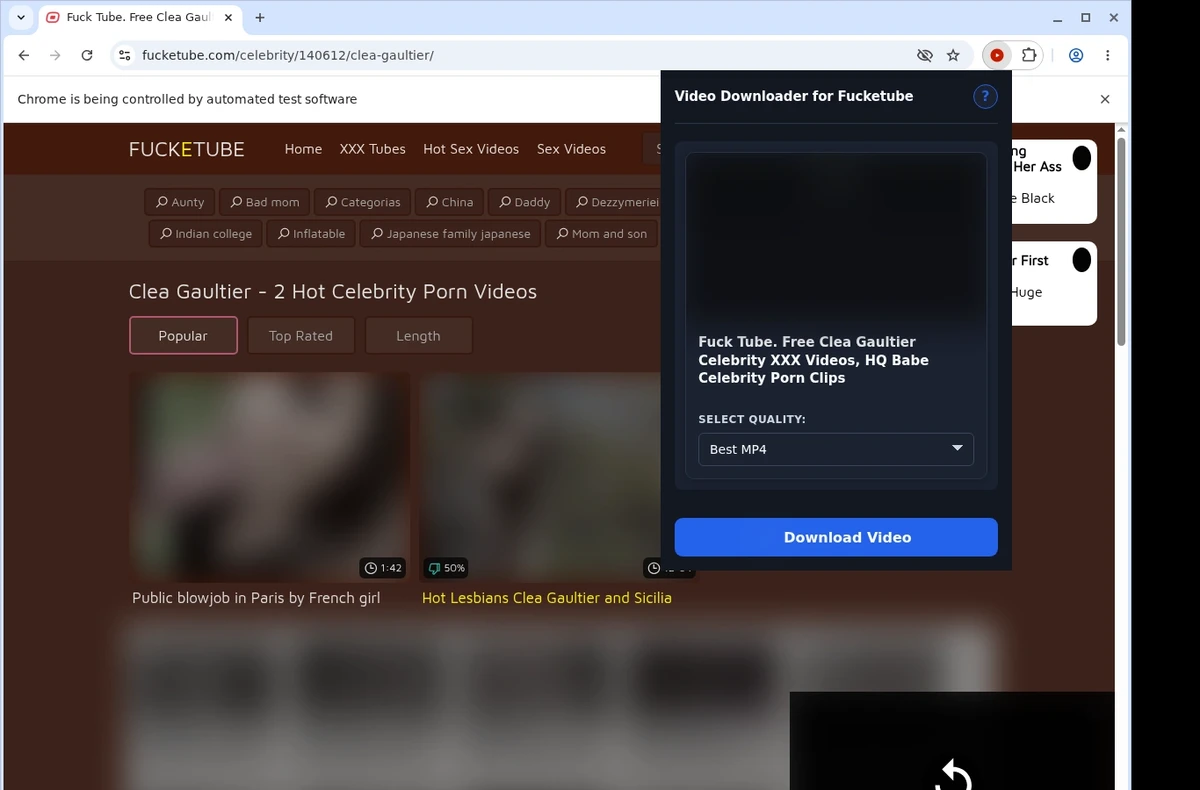 Fucketube Video Downloader ready state screenshot