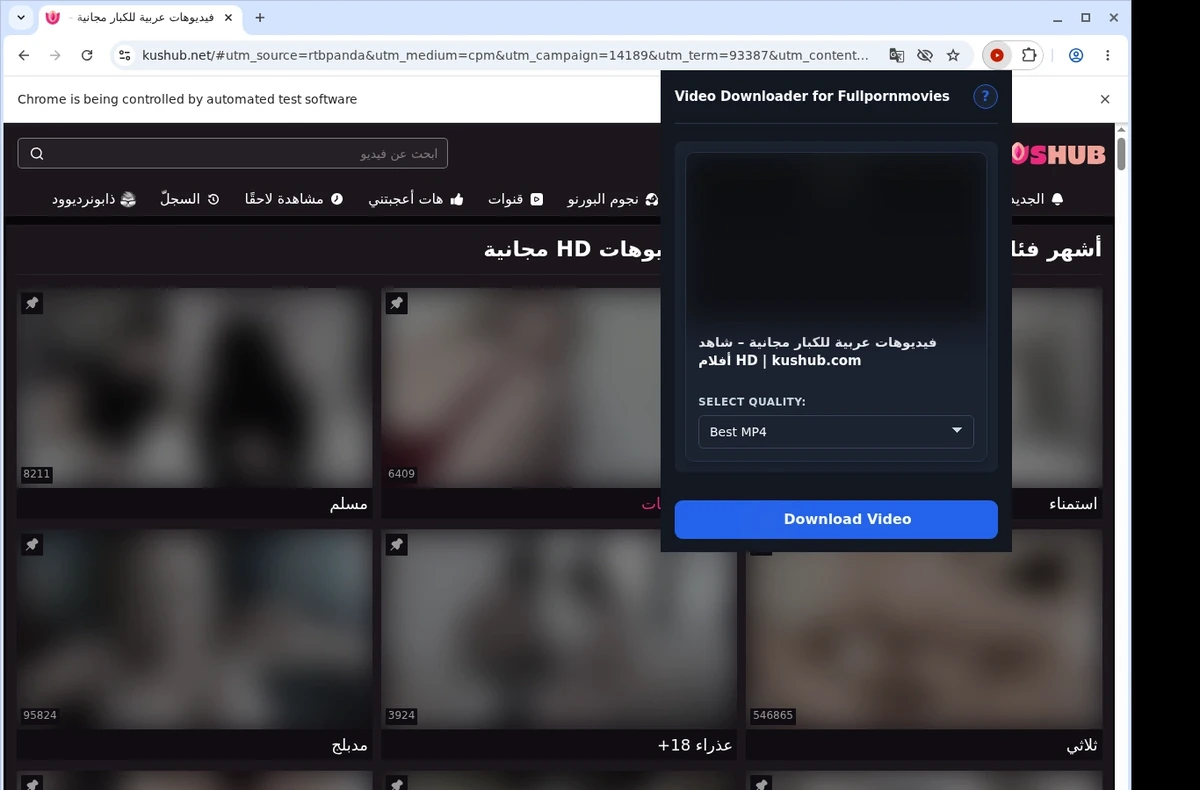 Fullpornmovies Video Downloader ready state screenshot