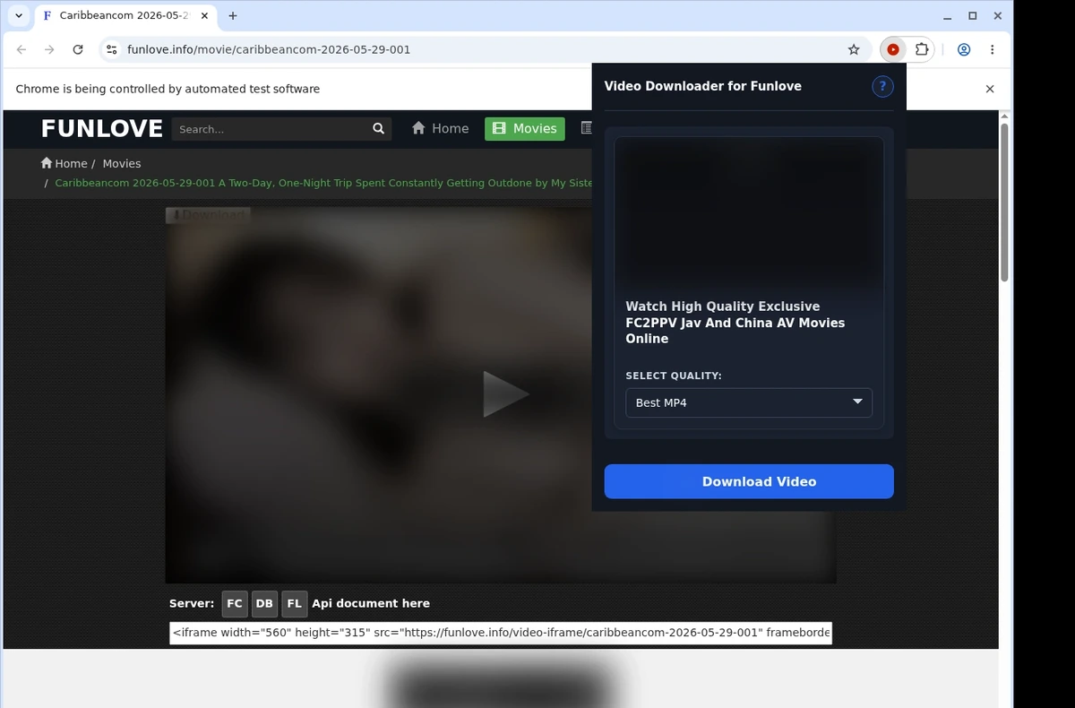 Funlove Video Downloader ready state screenshot