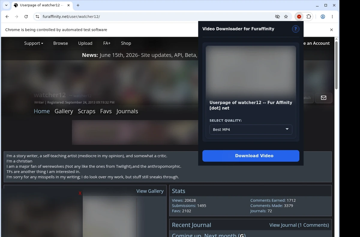 Fur Affinity Video Downloader ready state screenshot