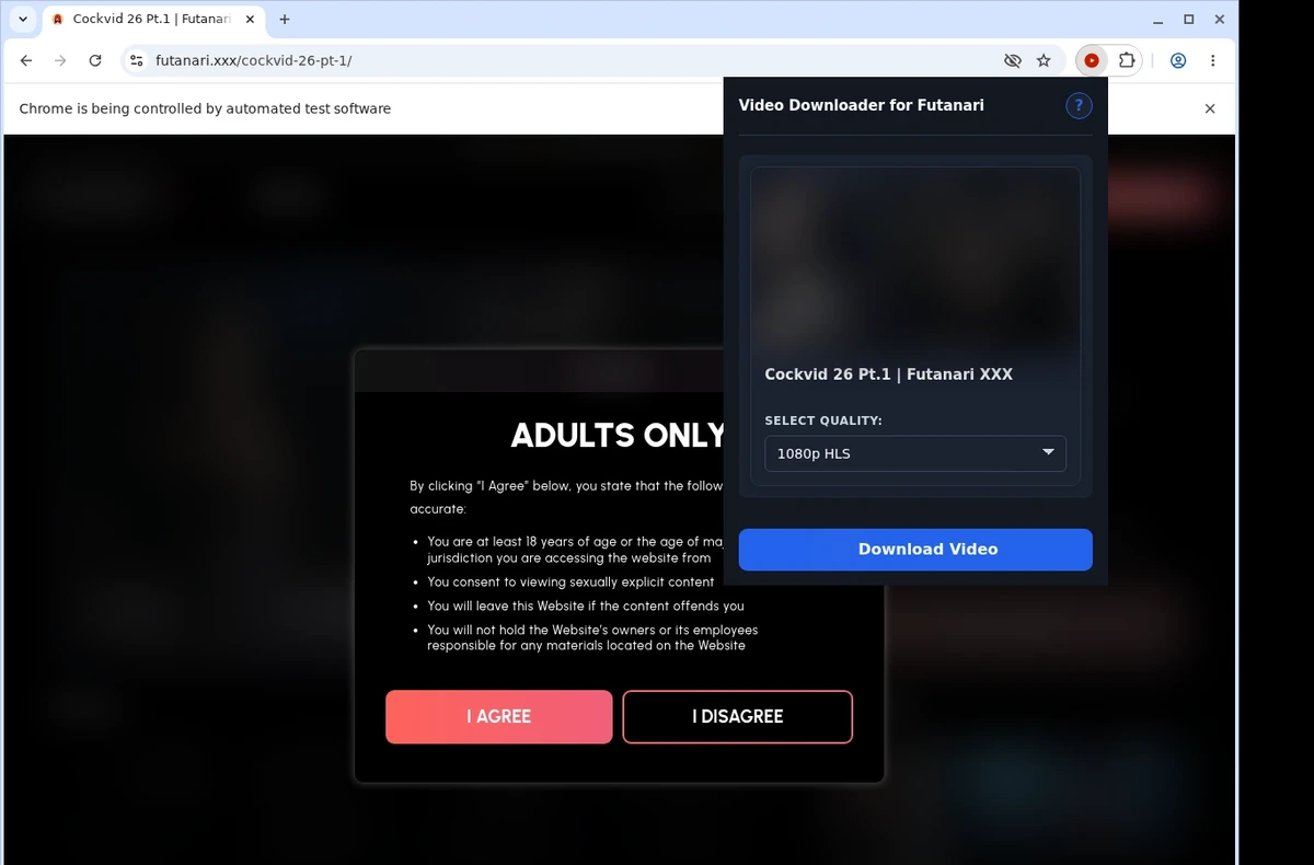 Futanari.xxx Video Downloader ready state screenshot
