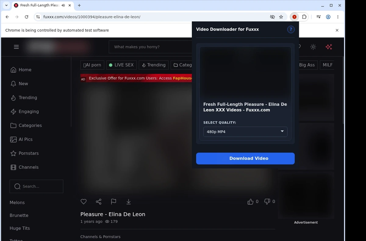Fuxxx Video Downloader ready state screenshot