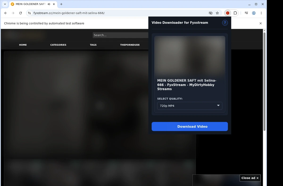 Fyxstream Video Downloader ready state screenshot