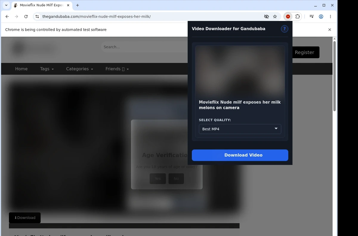 Gandubaba Video Downloader ready state screenshot