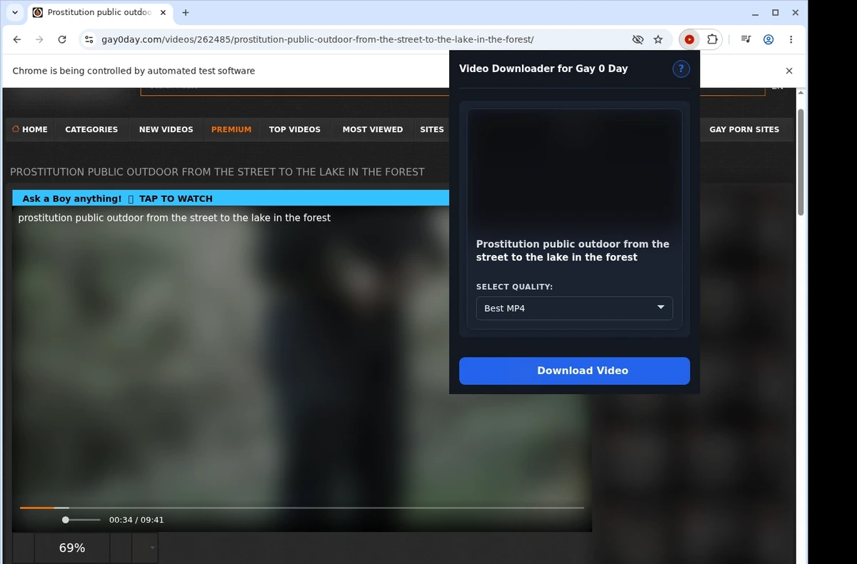 Gay 0 Day Downloader ready state screenshot