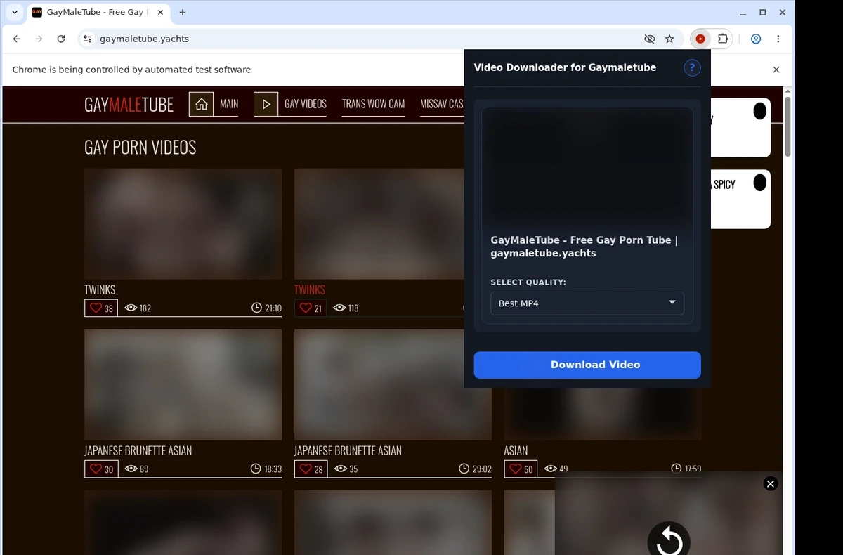 Gaymaletube Video Downloader ready state screenshot