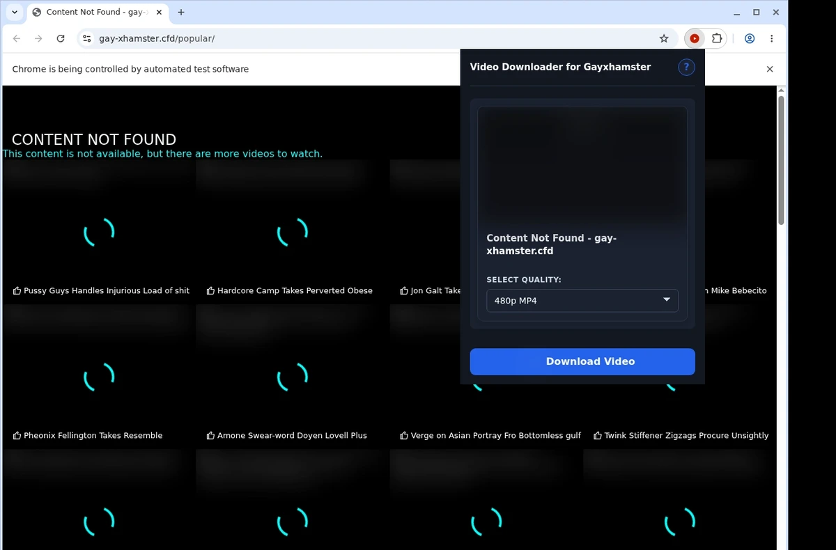 Gayxhamster Downloader ready state screenshot