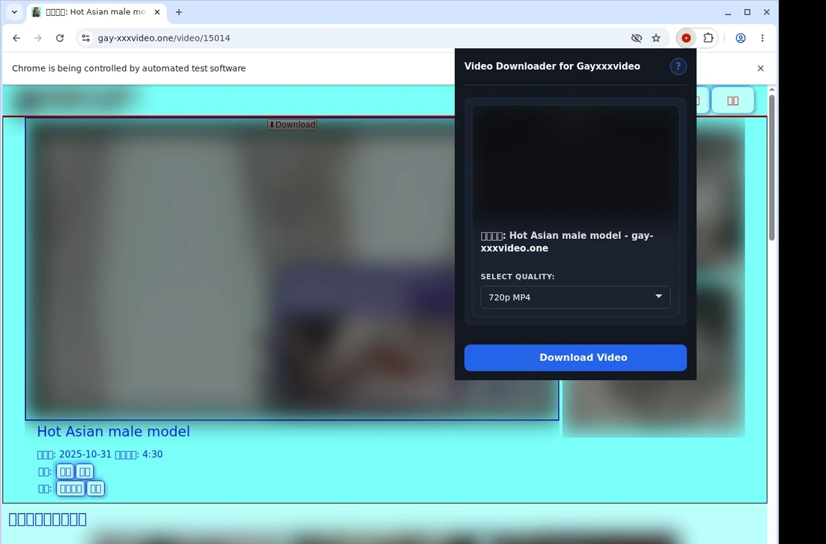 Gayxxxvideo Video Downloader ready state screenshot