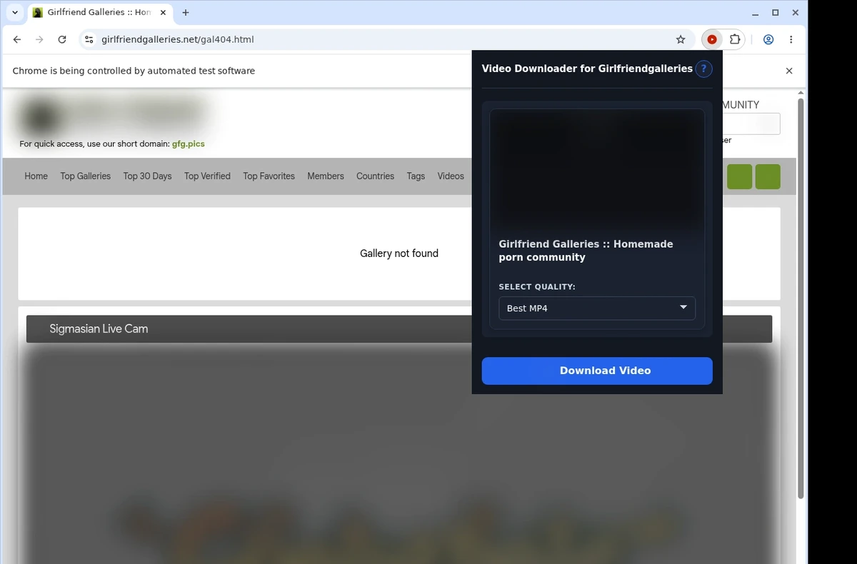 GirlfriendGalleries Downloader ready state screenshot