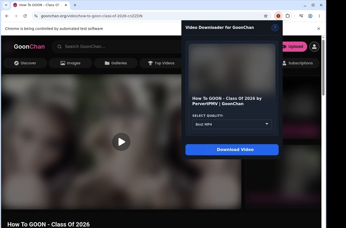 GoonChan Video Downloader ready state screenshot