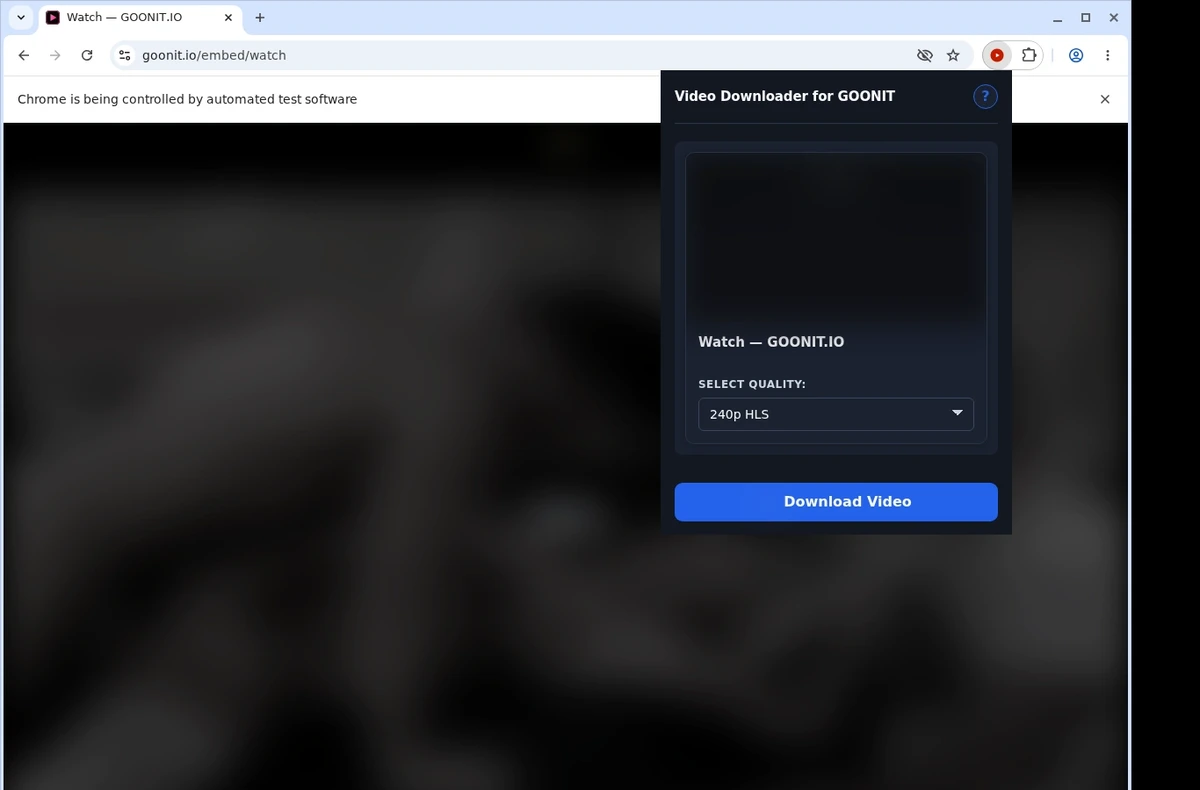 GOONIT Downloader ready state screenshot