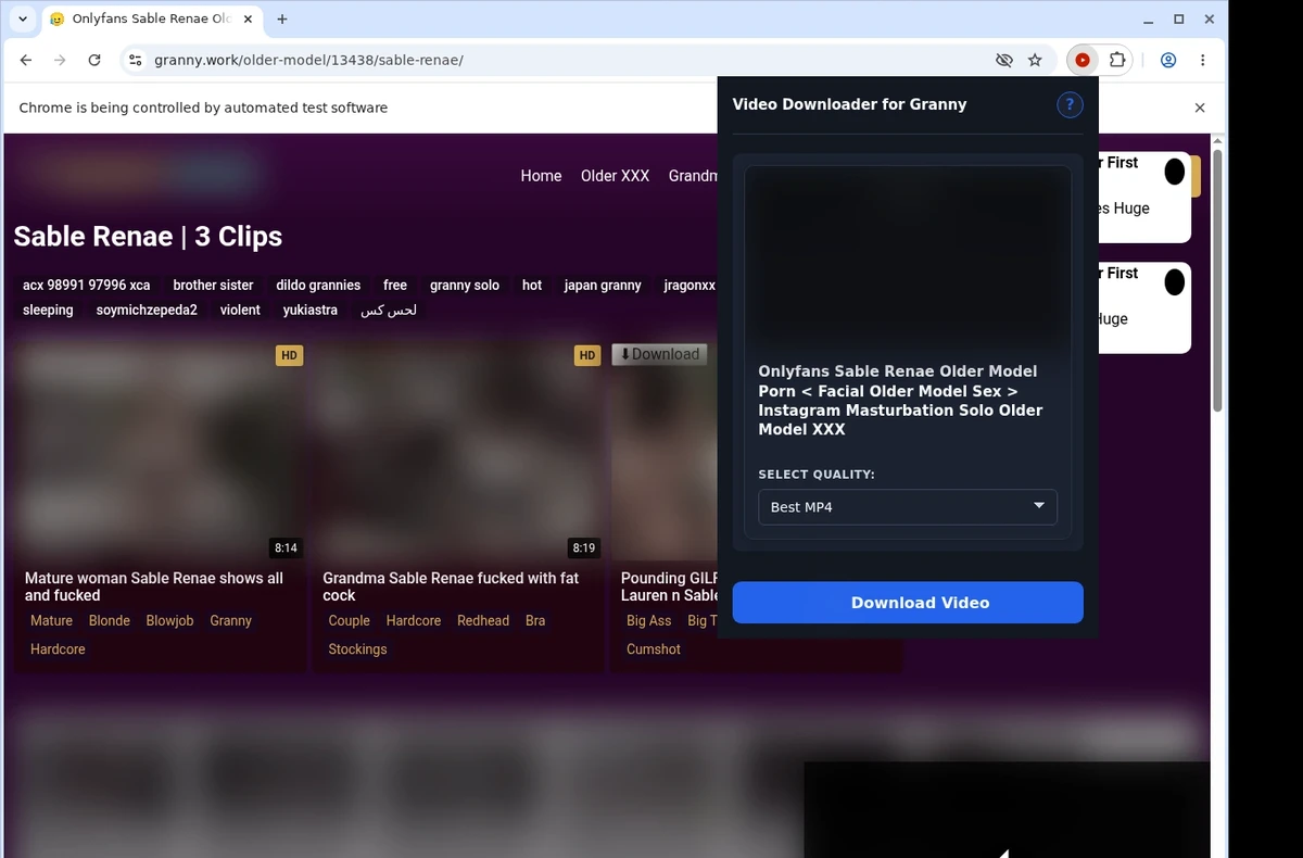 Granny Downloader ready state screenshot